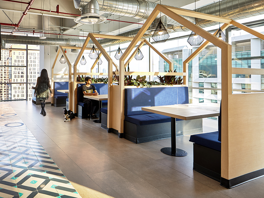 Interprotección SpAce México