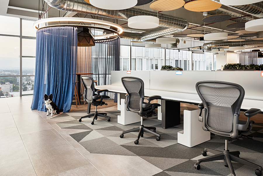 Interprotección SpAce México