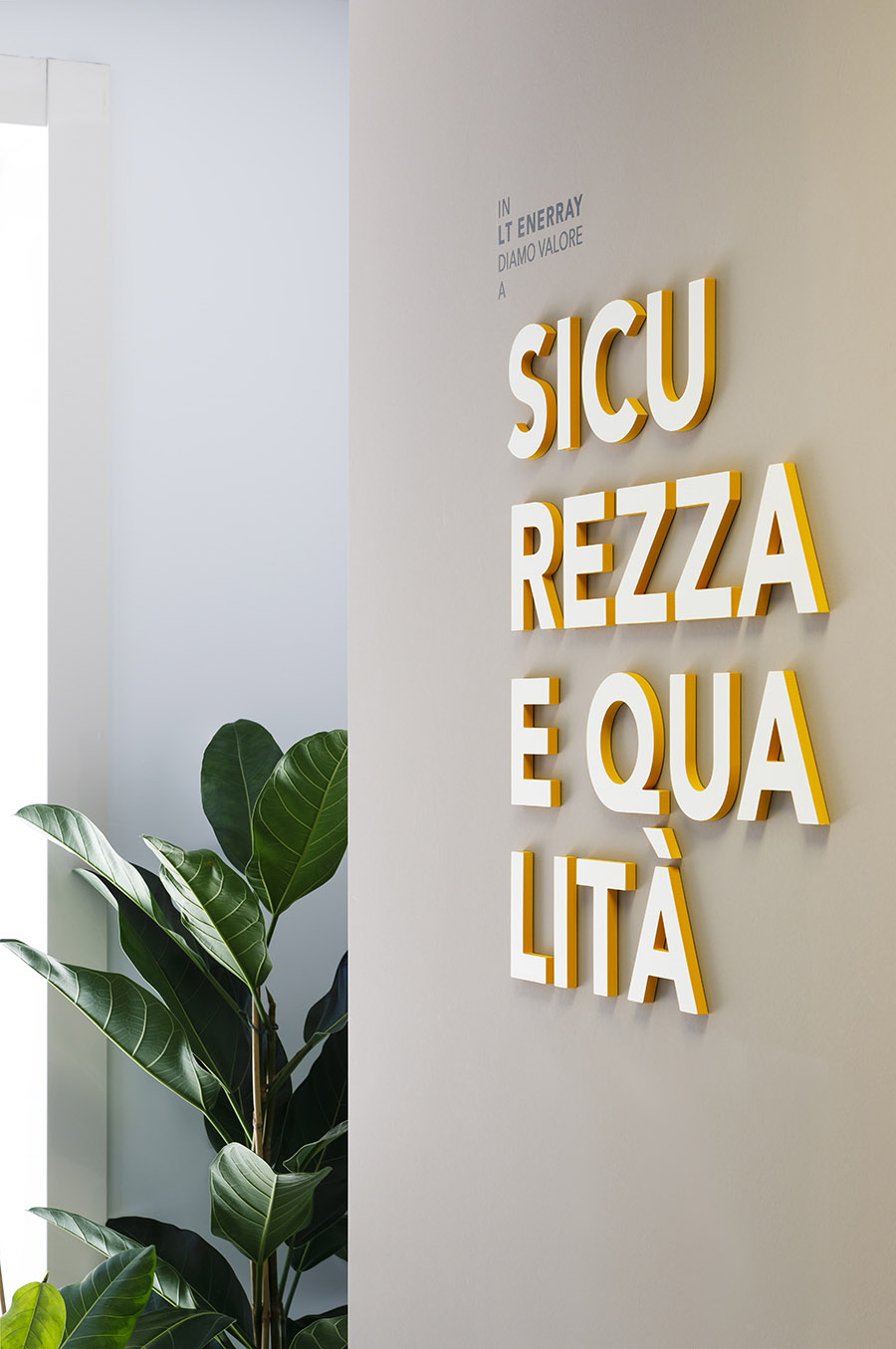 LT Grupo Terna Acabadomate