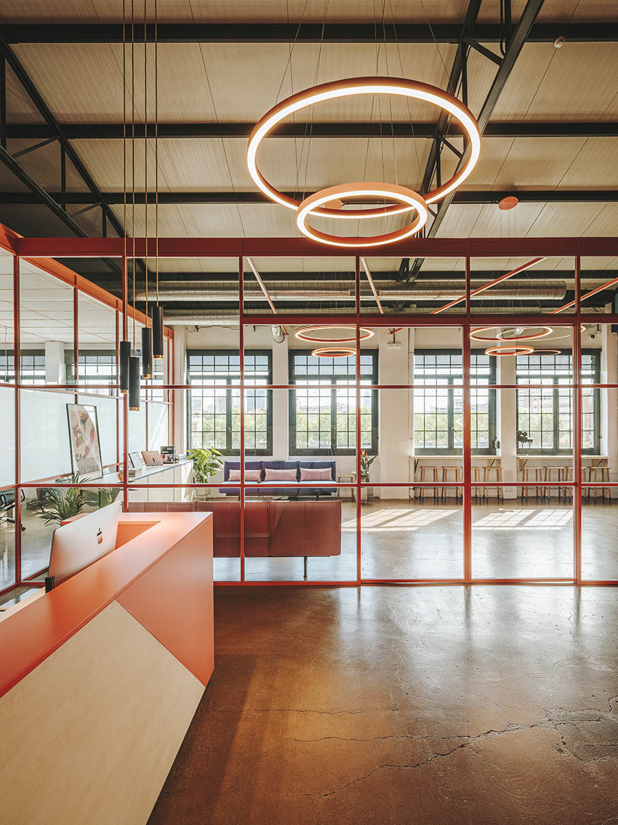 Sauvage TV Cosy Barcelona