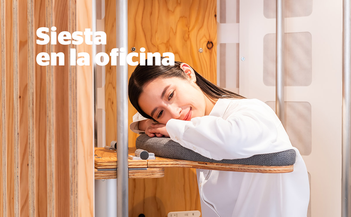 Giraffenap specia-forest