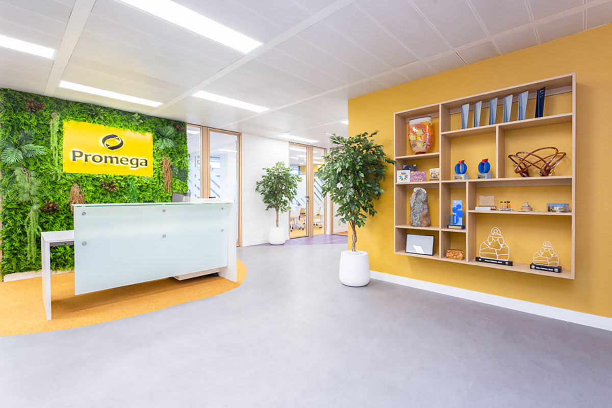 Sergio Jiménez, CEO de Ivory