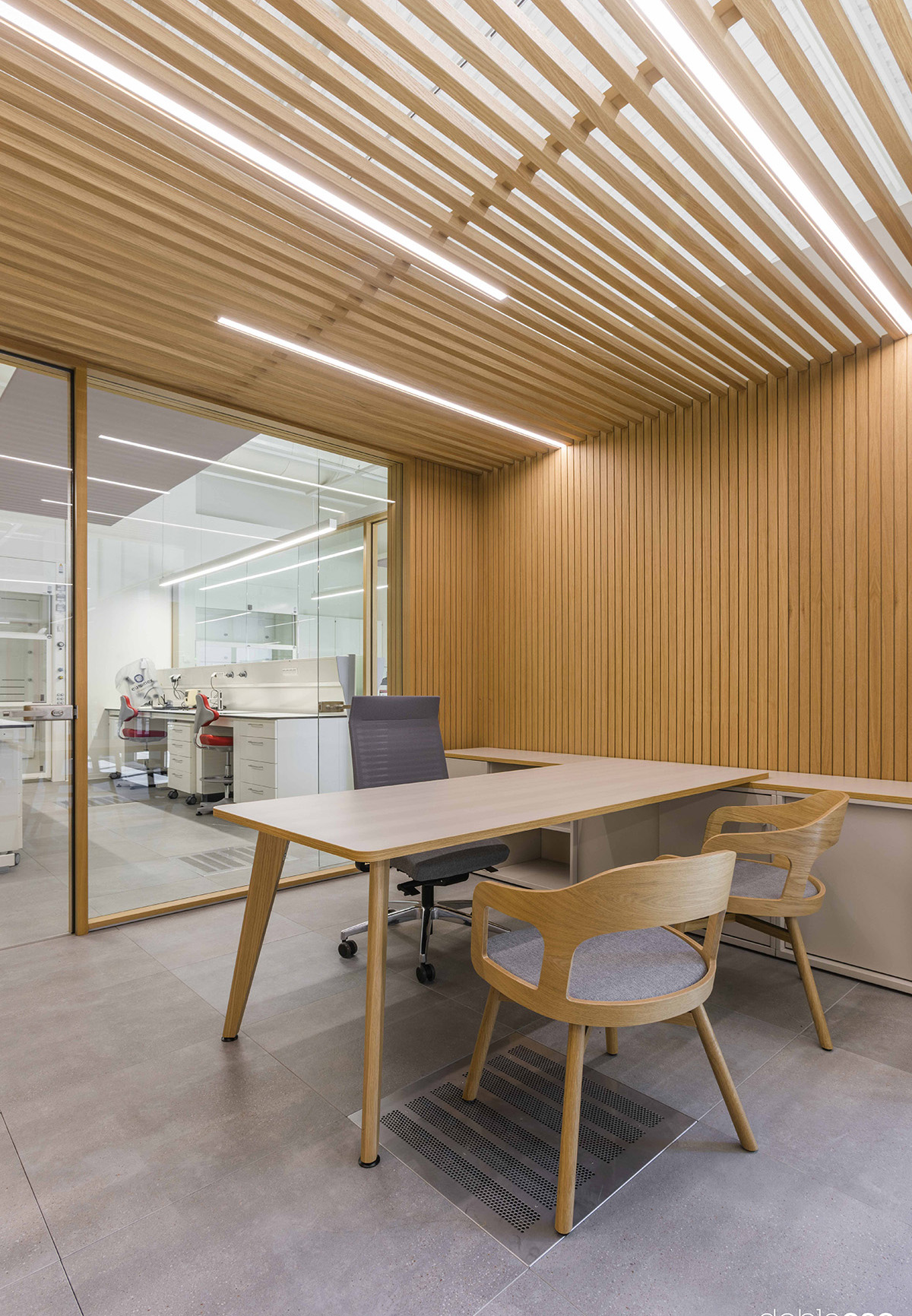 Dobleese Estudio para Polymer Char