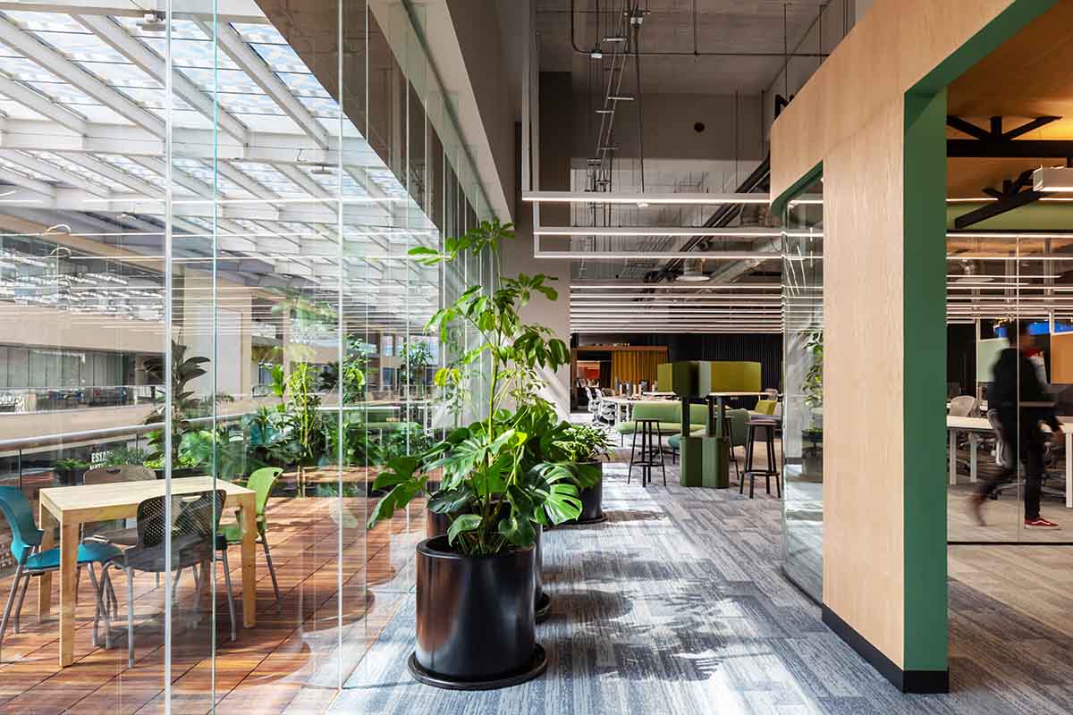 CF Taller de Arquitectura Work Lab Santander México