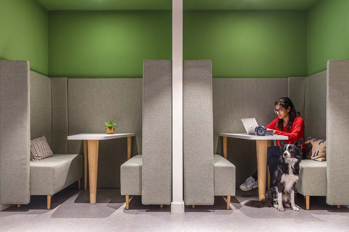 Loom, Daniel Modòl Urbanism+Architecture