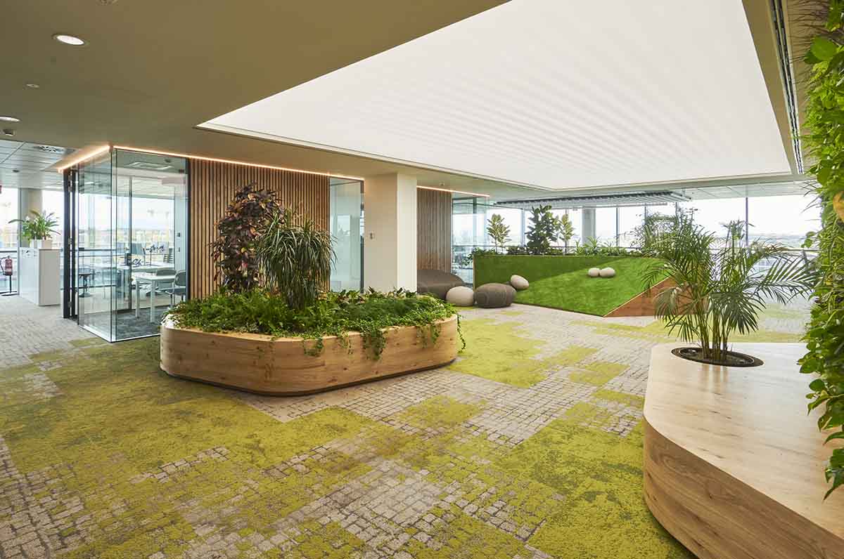 Ignasi Cubiñá, Construcía, EIG