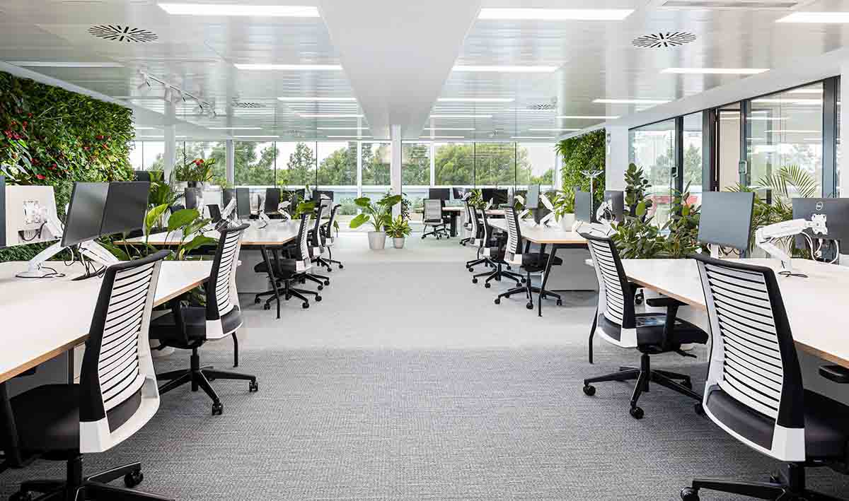 Ignasi Cubiñá, Construcía, EIG