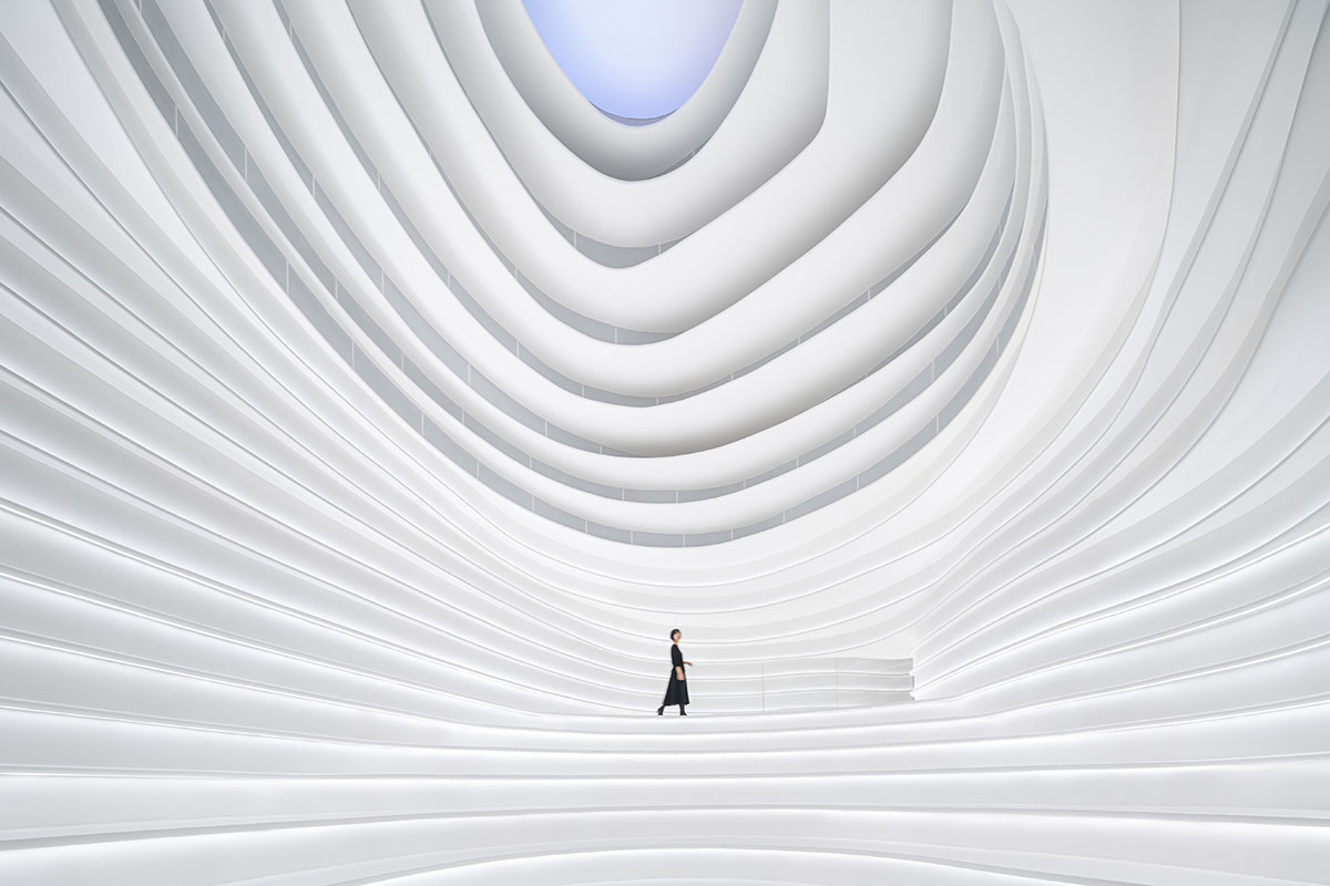 Golong Wormhole de Pines Architects