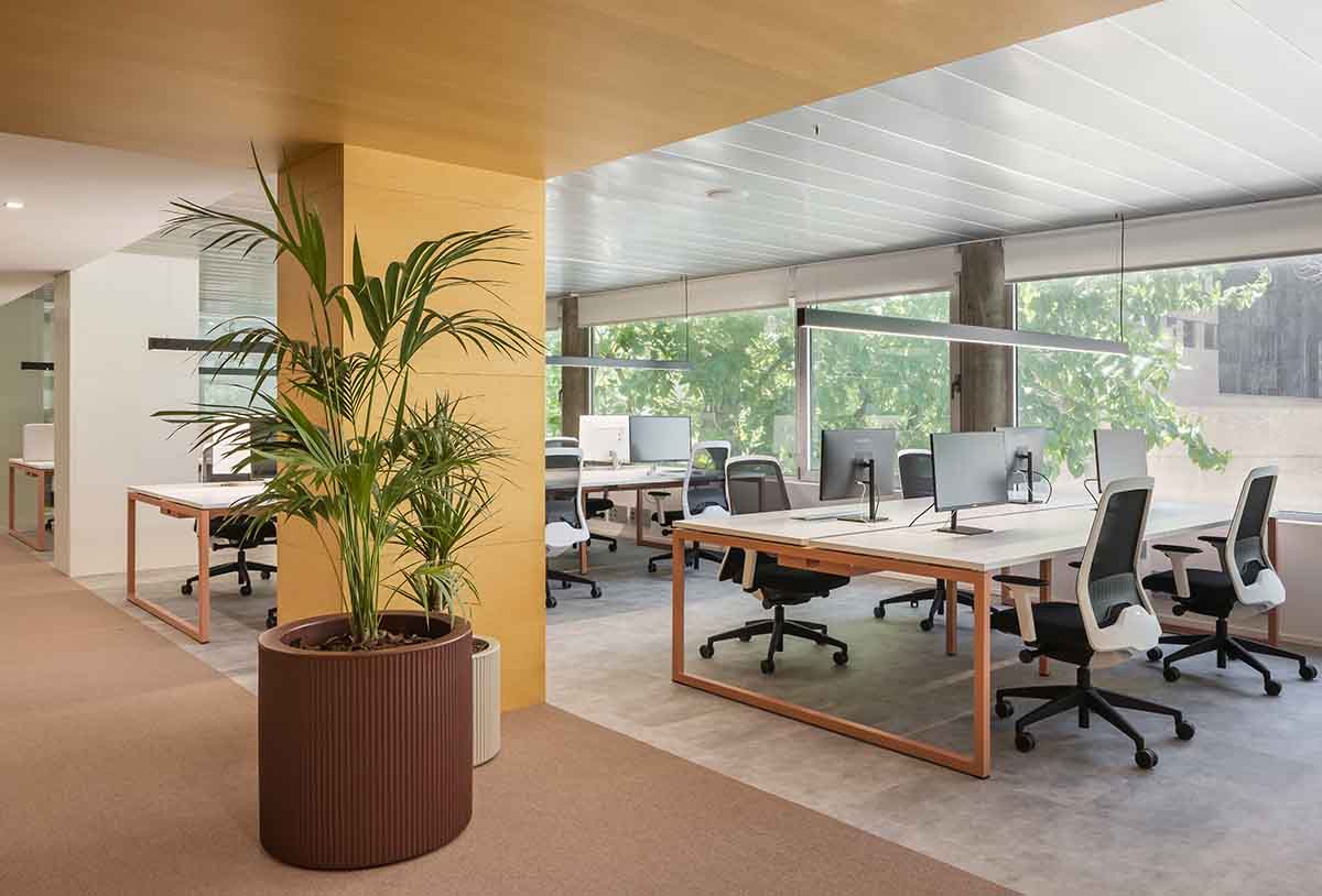 022 Estudio Kova Builder