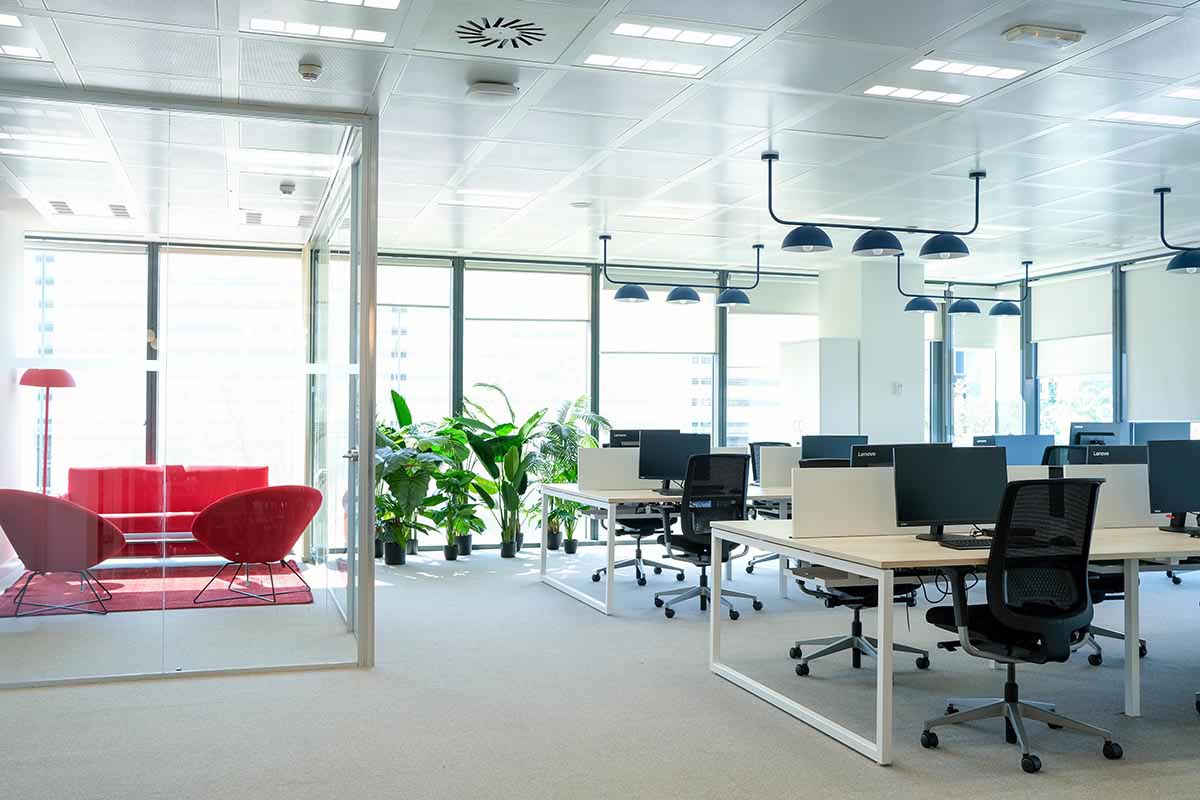 Ron Brugal España Mikamoka