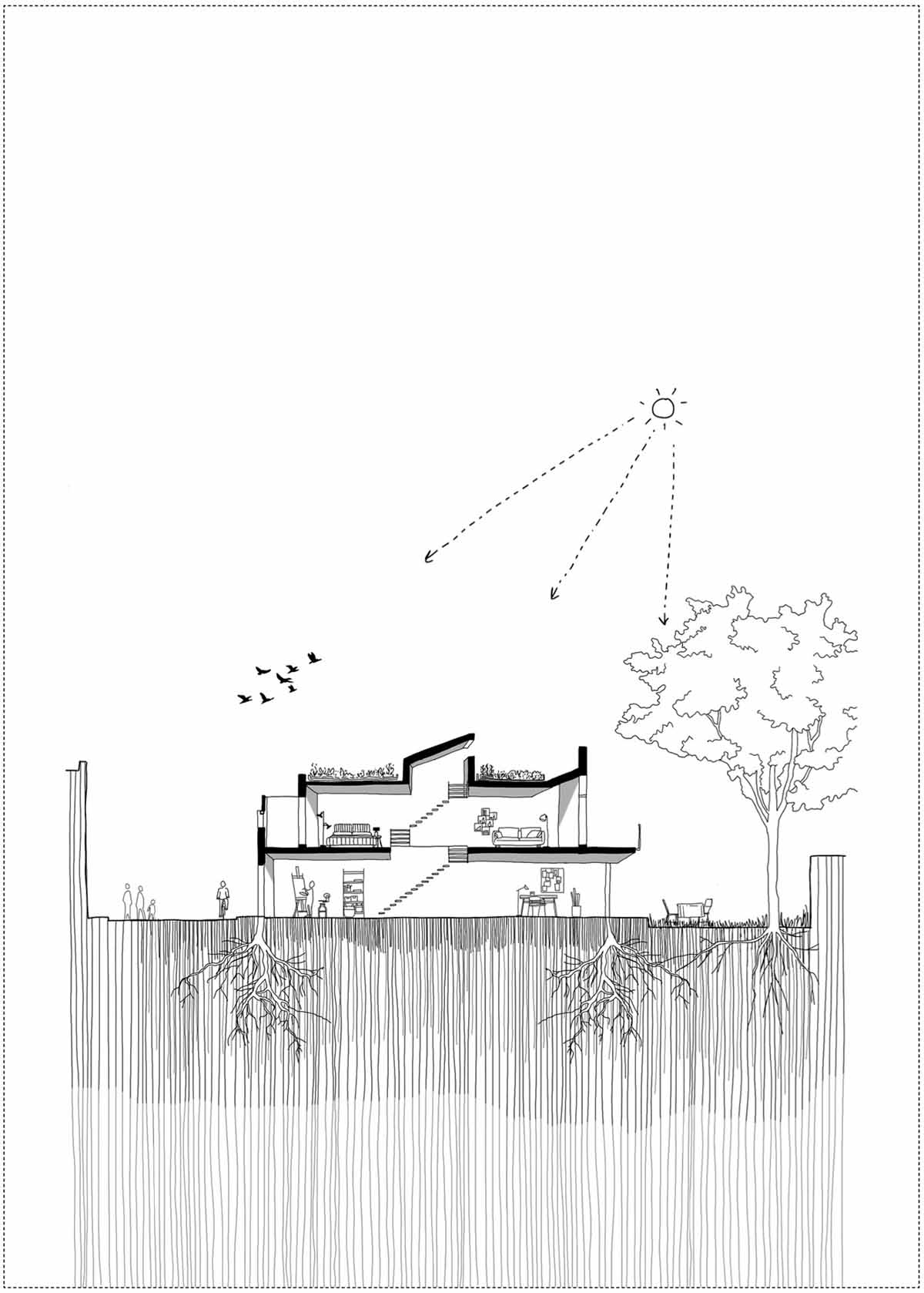 Ana García López, Cara vista