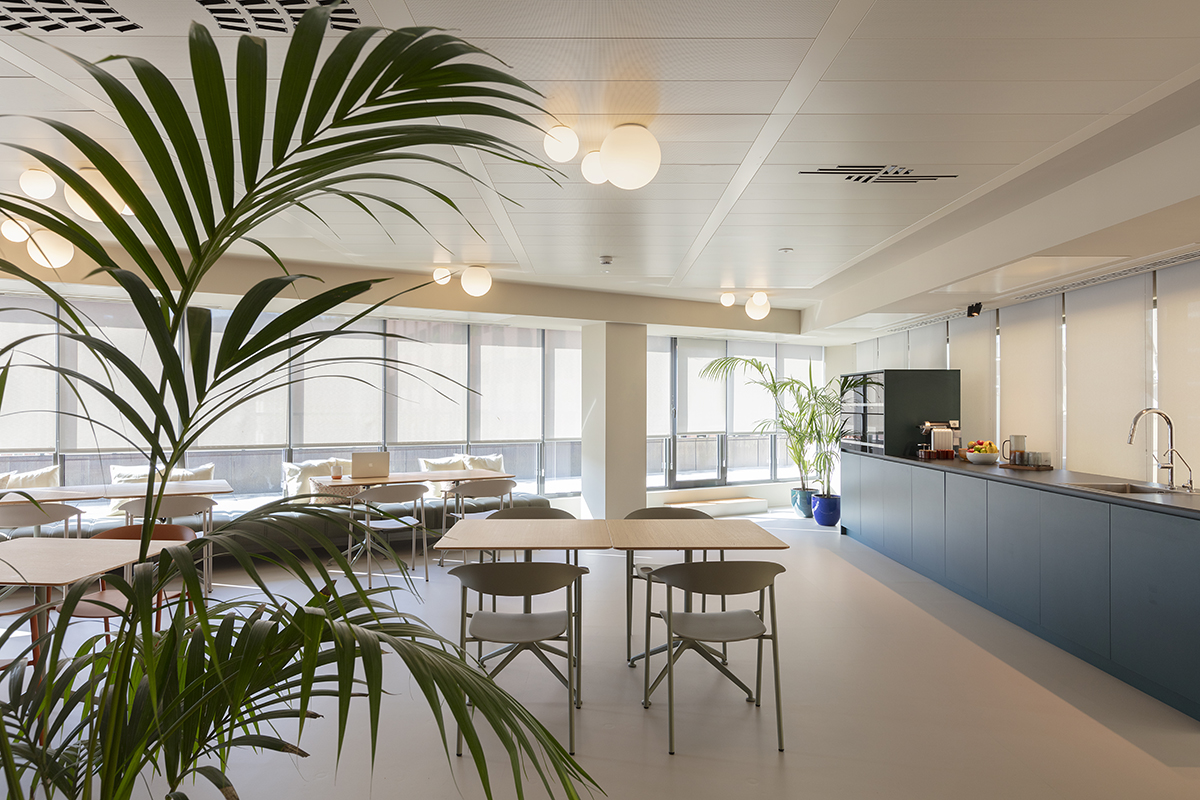 Aromir Arquitectes proyecta la Asesoria Talenom