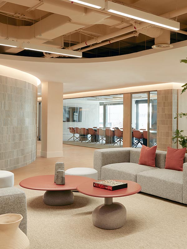 One Trust Madrid, Roto Estudio