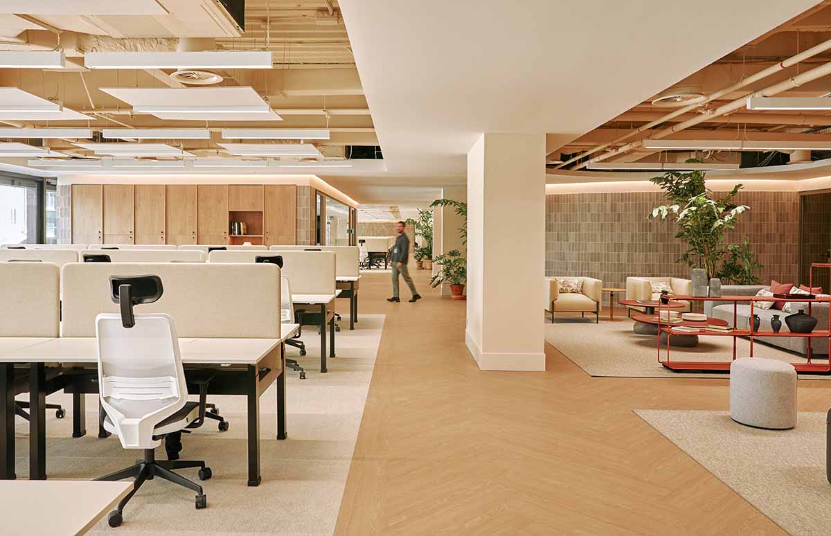 One Trust Madrid, Roto Estudio