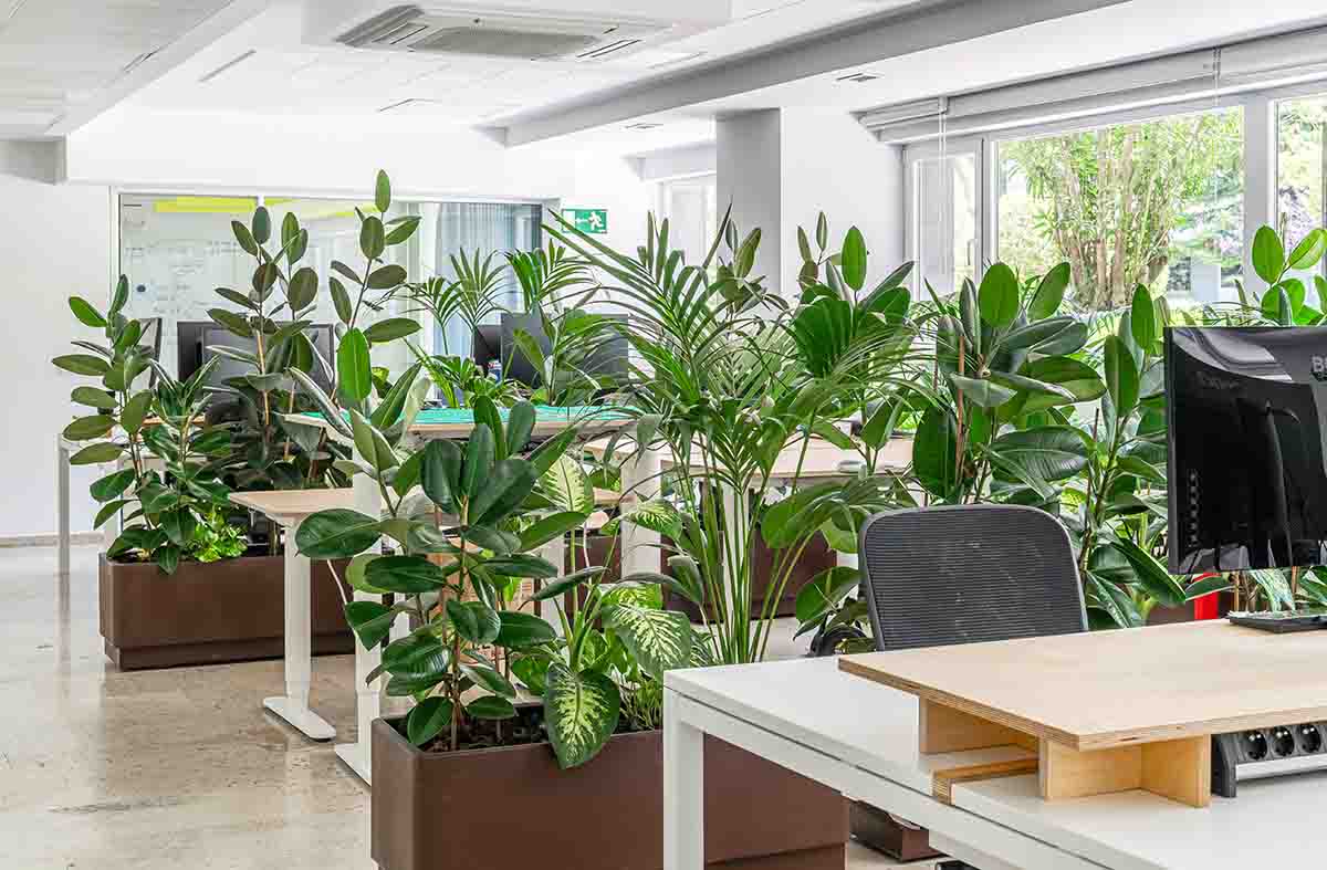 2Bold proyecta Kaleidos