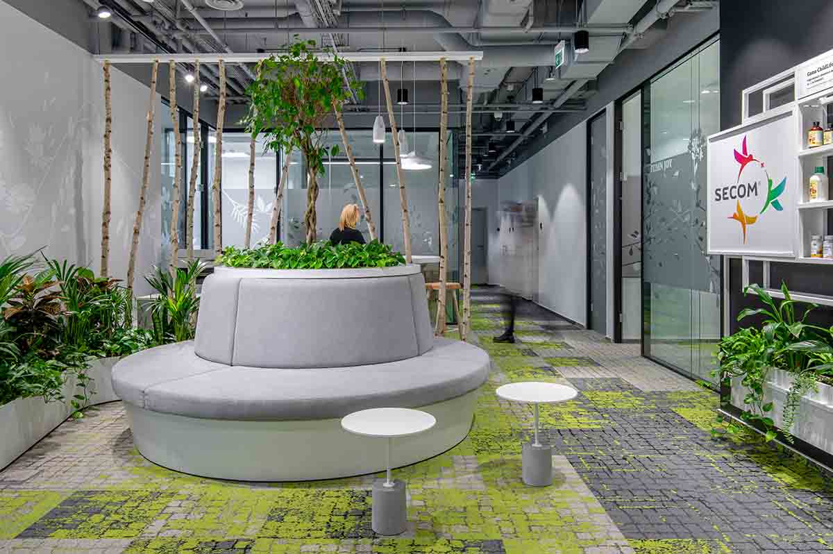 Interface y Terralupa