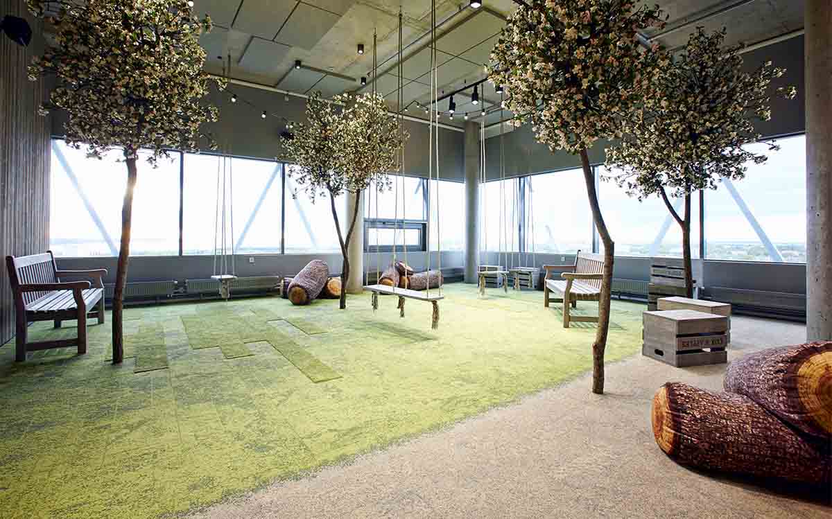 Interface y Terralupa