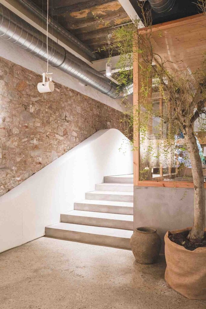 La Puta Suegra, AV62 Arquitectos